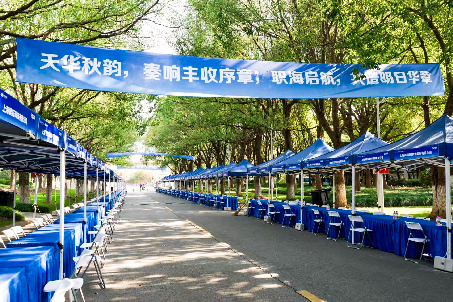 机器人热舞燃场  239家企业齐聚——我校2026届秋季毕业生招聘会正式启幕